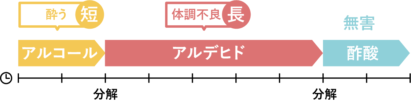 体質レベル