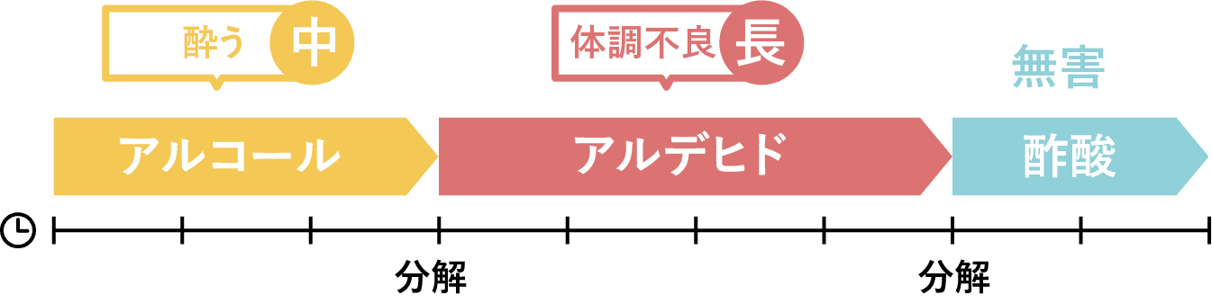 体質レベル