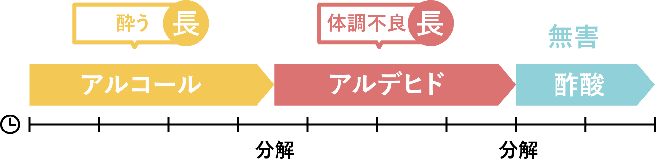 体質レベル