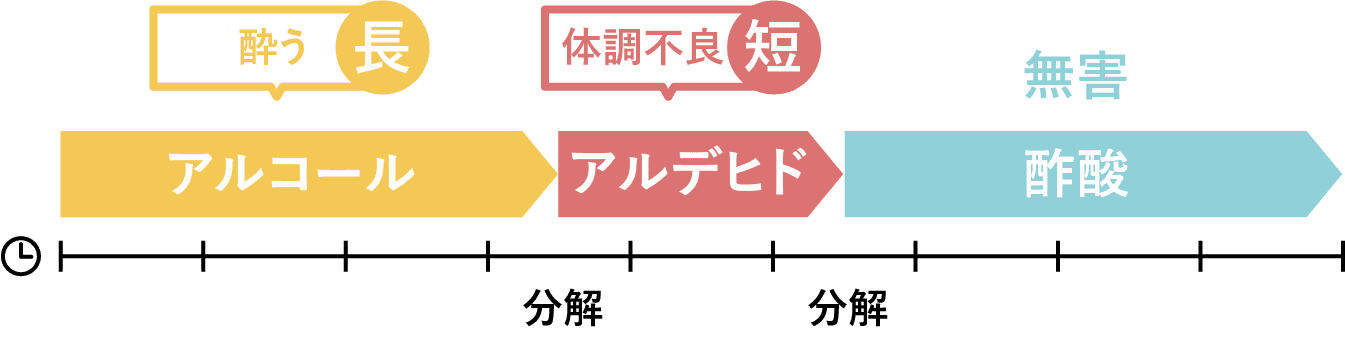 体質レベル